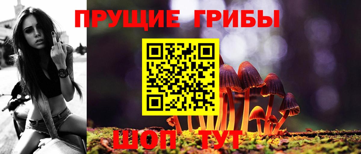 Печора  Галлюциногенные грибы GOLDEN TEACHER  Вход с VPN 